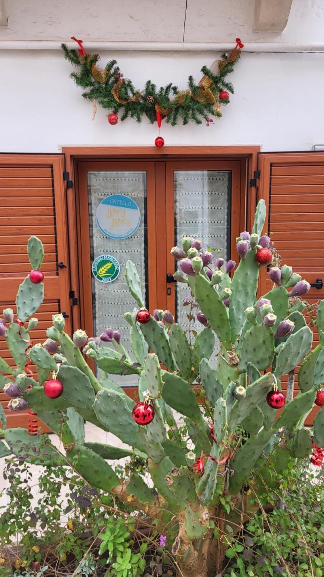 Hostel Japp'Ca Japp'Ca Castellaneta Exteriér fotografie